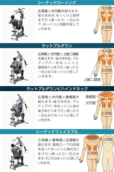 鍛えられる部位2
