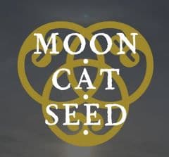 Moon・Cat・Seed・