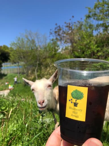 コーヒー