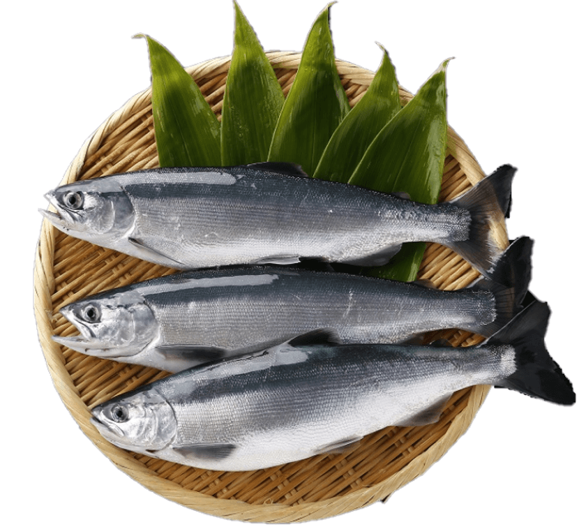 【あべのハルカス近鉄本店】約200ショップが登場！
全国から旬な食材を集めたイベント「近鉄食の大祭典」を開催！