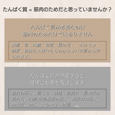 美容系／Bプロテイン