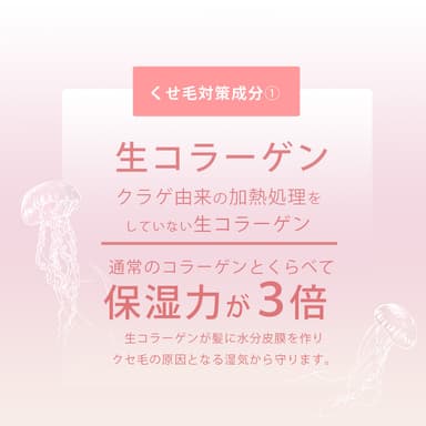 通常のコラーゲンより保湿力が3倍