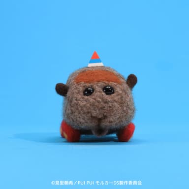 教習テディ