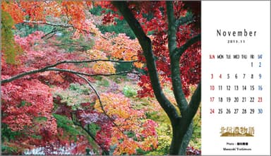 (11月)鮮やかな色彩を表現しました