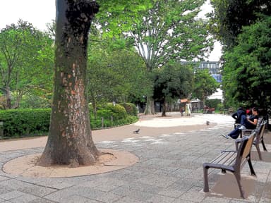 緑豊かな公園