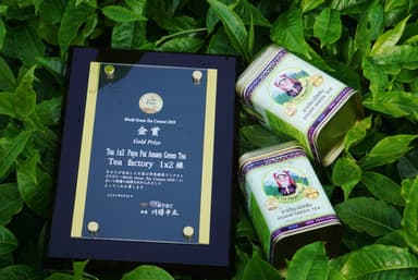 Paya Pai Assam Green Tea
