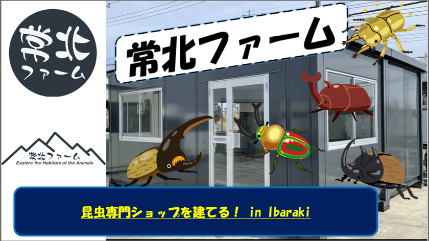 茨城のカブトムシ・クワガタ専門ショップ「常北ファーム」、
新店舗建設のためクラウドファンディングを7月27日に開始！