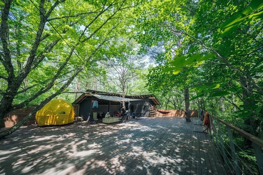 北軽井沢と山梨県山中湖のプライベートキャンプ場にて
夏休み子ども対象『無料キャンペーン』を7月18日～8月31日開催