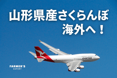 FARMER'S EXPORT　山形県産さくらんぼ 海外へ