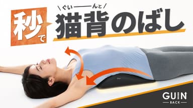 メイン