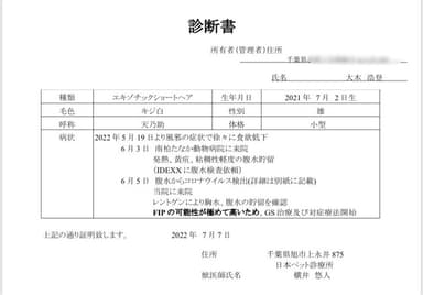 診断書