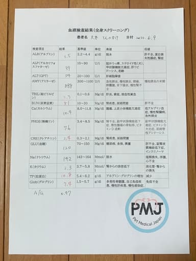 6月9日血液検査結果