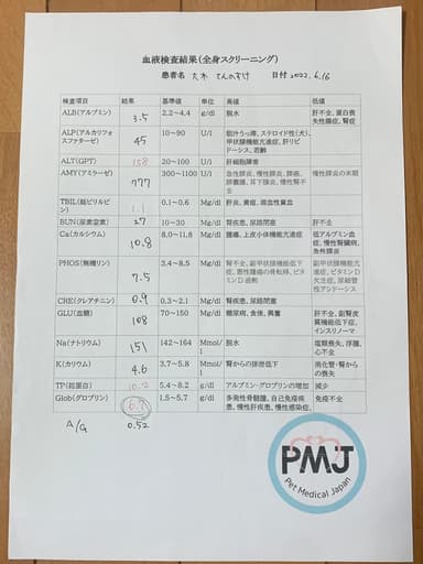 6月16日血液検査結果(全身スクリーニング)
