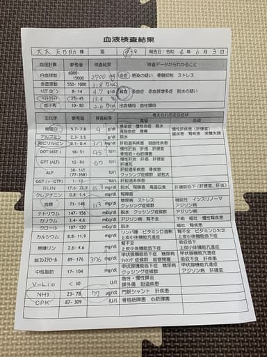 6月3日血液検査結果
