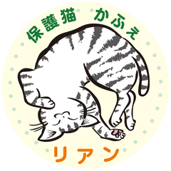 保護猫かふぇリアン
