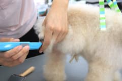 カット写真1
