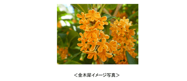 UC画像03