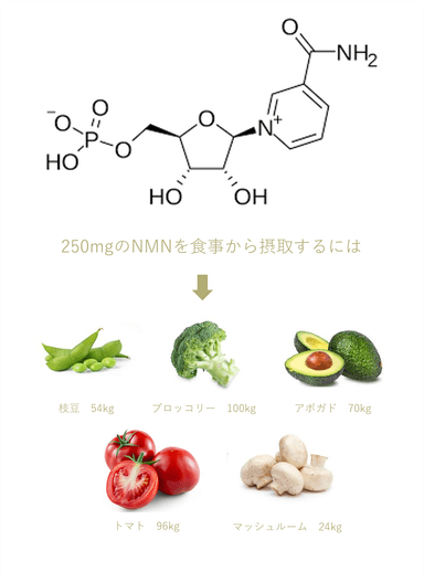 NMN250mgを食事から摂取するには