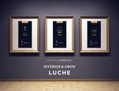 INTERIOR & GROW LUCHE