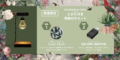 Campaign
