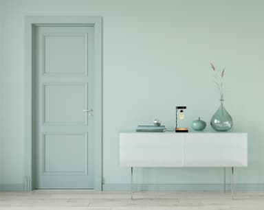 INTERIOR LIGHT