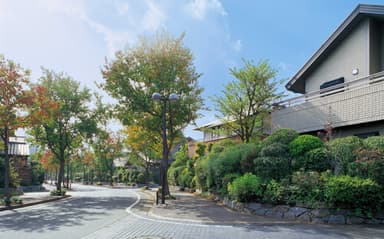 「5本の樹」計画に基づいて植栽が施された積水ハウスの分譲地の事例