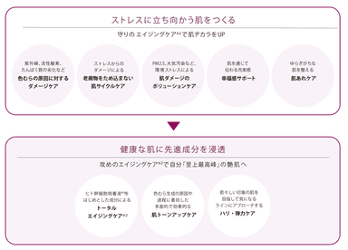 イメージ図