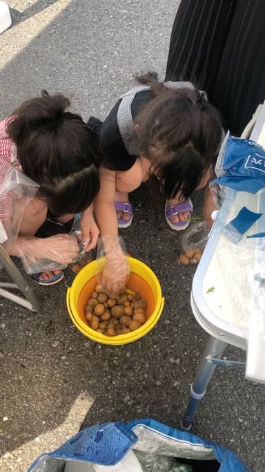 体験型八百屋