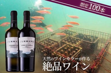 海底熟成オーガニックワイン