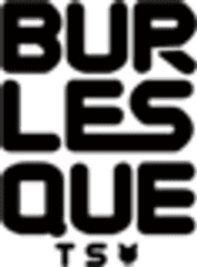 株式会社BTS