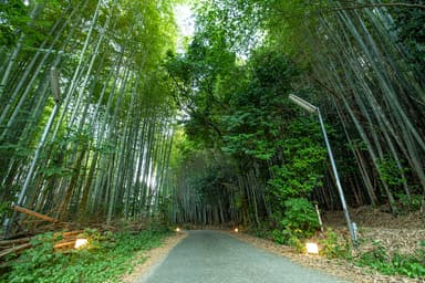 お帰り路