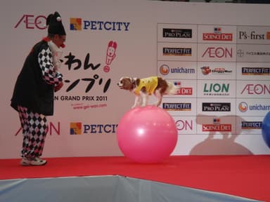 『芸-わん！グランプリ2011』優勝者と犬のペア