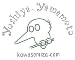 かわせみ座