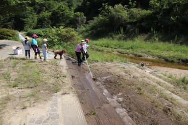 子供も犬も一緒にボランティア活動