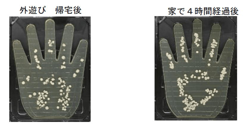 “家の中”で4時間過ごすだけで、
手の菌量は“屋外”で2時間遊んだ後に匹敵！
自宅内で知らないうちに手に付着する菌の増殖を
石けん成分配合のハンドソープによる手洗いで抑制！