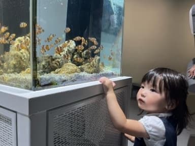 ポジカを貼った“わざにふれる水槽”の様子