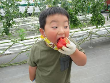 お子様にも大人気！