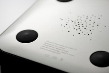 back side