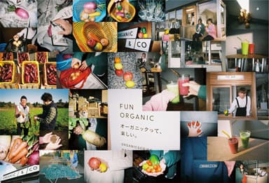 ORGANIC & CO. FUN ORGANIC