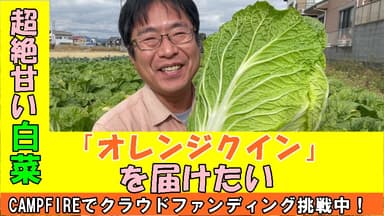 この白菜を届けたい！
