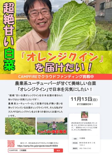 チラシ1
