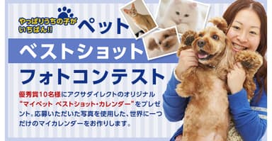 バナー画像