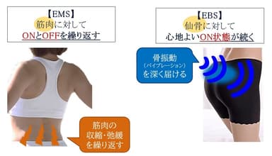 EMSとEBSの違い