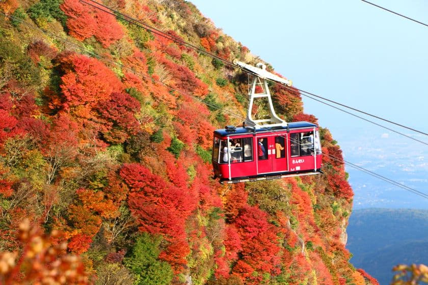 [長崎県]紅葉シーズンの雲仙 仁田峠の渋滞解消のため
「事前予約」「パークアンドライド」の実証実験を実施