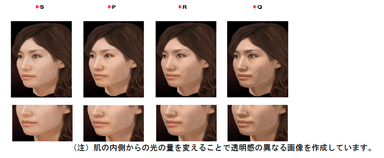 サンプル画像