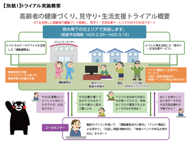 トライアル実施概要