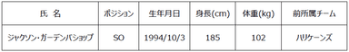 新加入選手