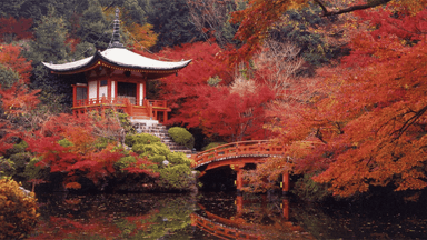 秋の醍醐寺