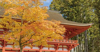 場面写真　3