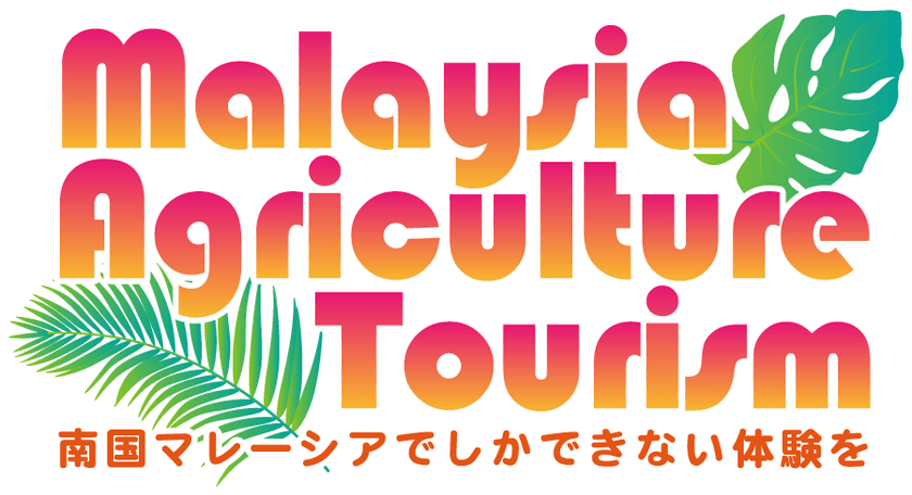［駐日マレーシア大使館 農務部］
初めての日本人向けアグロツーリズムを企画・販売開始　
グルメだけではなく体験を通してマレーシアの食を楽しめるツアー
